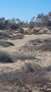 2023-GC--Mapalomas dunas-S123-148.jpg